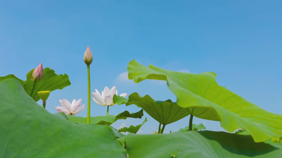 1651715396353713.png 微信圖片_20220505094626.png