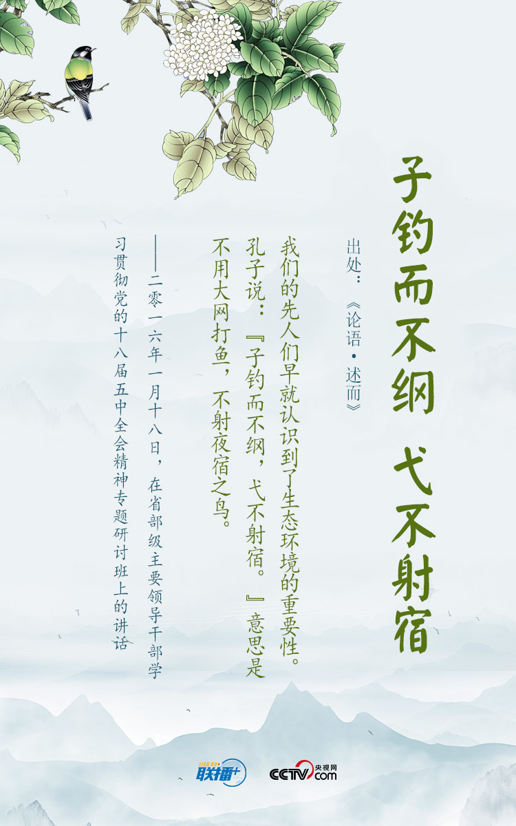 1654378584607271.jpg 2.jpg