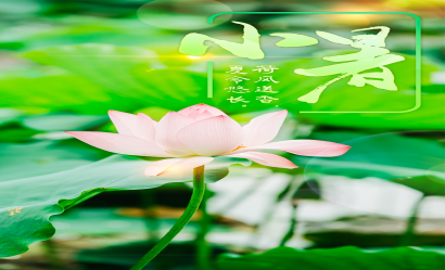 小暑：荷風(fēng)送香氣，竹露滴清響