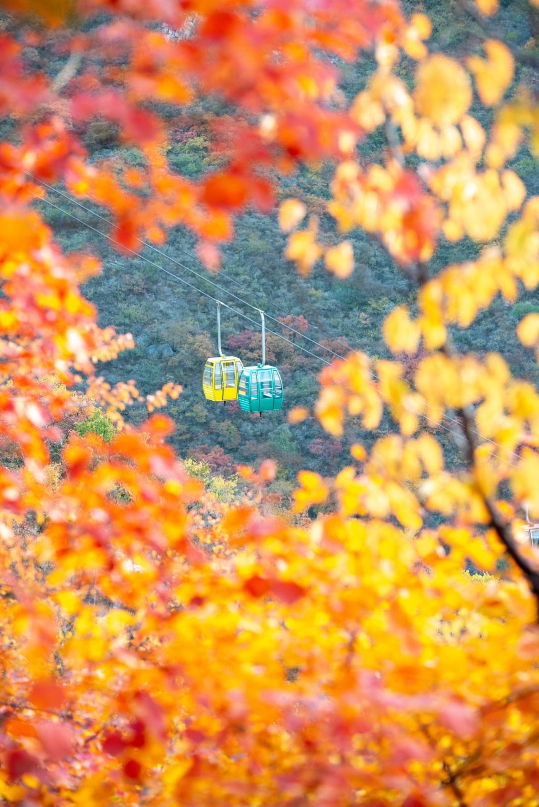 c2e5f5abe2e194c7ab99e2c357e099b0 c2e5f5abe2e194c7ab99e2c357e099b0