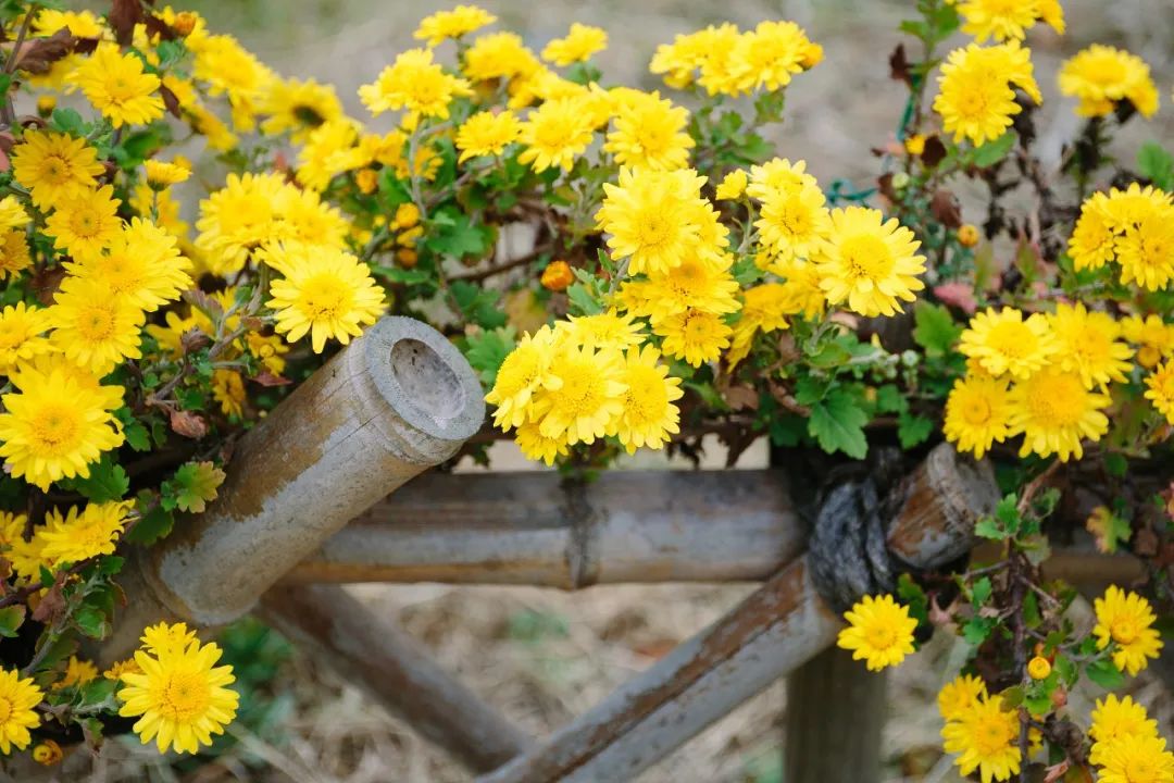 a7aad5a2b41e17e5ece4a677c0bf4fe5 a7aad5a2b41e17e5ece4a677c0bf4fe5