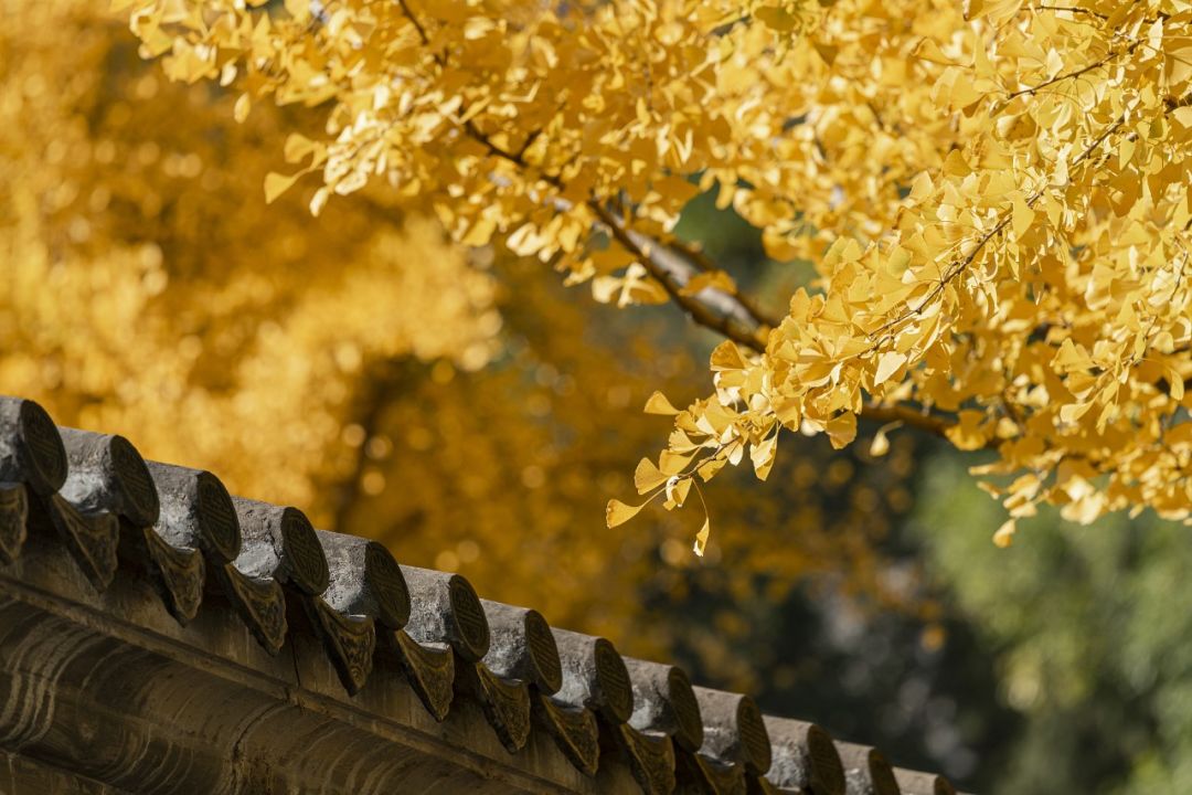 7dee0eaf03ddefd2a210f13d8df8bd3e 7dee0eaf03ddefd2a210f13d8df8bd3e