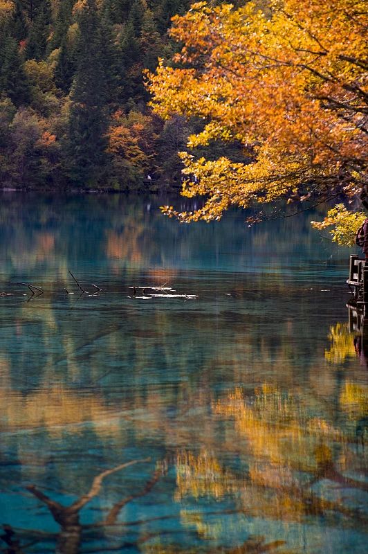 ad14ce5e6ec27b57bc9ef495b748e516 ad14ce5e6ec27b57bc9ef495b748e516